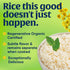 2lb Lundberg Organic Long Grain White Rice, Regenerative Organic Certified, Resealable Bag