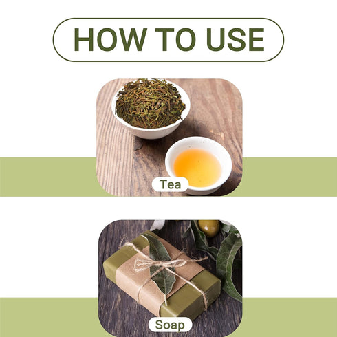 Adderenity Dried Mistletoe 2oz (57g) - 100% Natural Herb Tea Hujisheng, No Additives, Vegan Friendly