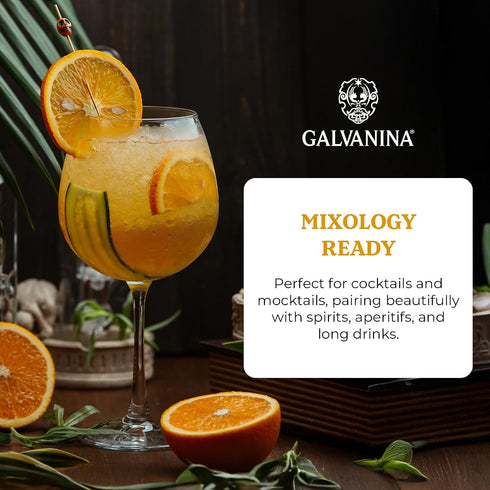 12 oz (Pack 1) Galvanina Orange Premium Organic Italian Sparkling Soda, fl Glass Bottle of | Classic Sicilian Orange