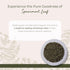 1 lb Starwest Botanicals Spearmint Leaves - Loose Leaf Herb for Tea, Dried Spearmint Leaf for Herbal Blends, Cut