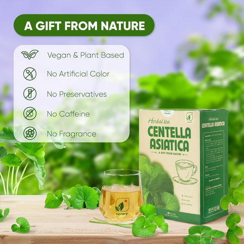 NMPT Centella Asiatica Leaf Tea, Organic Herbal Tea, 100% Hand Pick, 40 Count, Gluten Free, Dairy Free, Energy Boost &