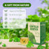 NMPT Centella Asiatica Leaf Tea, Organic Herbal Tea, 100% Hand Pick, 40 Count, Gluten Free, Dairy Free, Energy Boost &