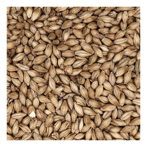 10 lb Golden Promise Brewing Malt for Home Brewing