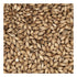 10 lb Golden Promise Brewing Malt for Home Brewing
