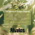 1 (33.8 oz) Aivalos Extra Virgin Olive Oil, Single-Origin Mediterranean, First Cold-Pressed, Smooth & Peppery Finish