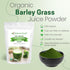 1 lb Z Natural Foods Organic Barley Grass Juice Powder - Made in USA, USDA Organic Nutrient-Dense Green Drink Mix