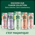 11.15 Oz 8 Count, 3 Pack Maison Perrier Forever Strawberry Flavored Sparkling Water, Fl Cans