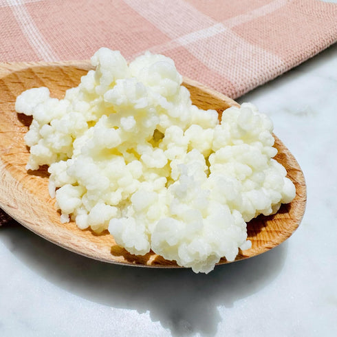 NatuDelight 1 Kefit - Live Milk Kefir Grains, TBSP Starter Culture for Home Production