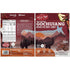 2.2oz 4 Pack, Field Trip Grass Fed Beef Jerky, Healthy Gluten Free Snacks, All Natural, Paleo-Friendly Beef Jerky, High