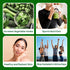 15 Immunity, 150g (15 10g Pack 2 DalaHouse Plant-Based Mix Powder Super Greens for Men & Women, Nutritional Vegetable