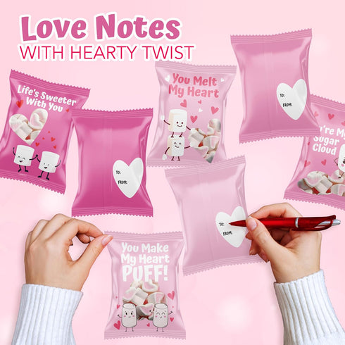 4E's (24 Packs) Novelty Heart Marshmallows Pink & White Valentine Marshmallows Mini Individually Wrapped for Hot