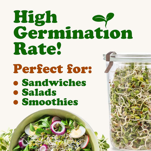 8 Food to Live - Antioxidant Mix of Sprouting Seeds, Ounces - Broccoli, Clover, Alfalfa, Kosher, Raw, Vegan