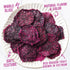 Packs 2 oz Pack 5 IChoose Dried Red Dragon Fruit Snack | Chewy Dried Pitaya Slices | of | Exotic Superfruit Snack |