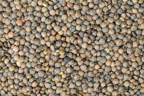 10 lb Aiva French Green Lentils (Lentilles Vertes)