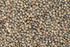 10 lb Aiva French Green Lentils (Lentilles Vertes)