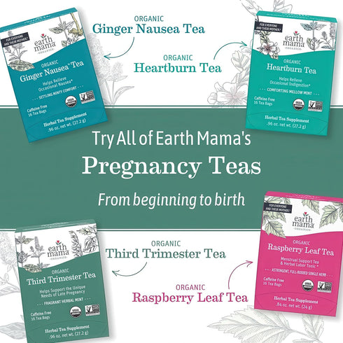 Earth Mama 32 Organic Periodic Tea | Herbal Tea to Support Hormone Balance, Reproductive and Menstrual Cycle Health |
