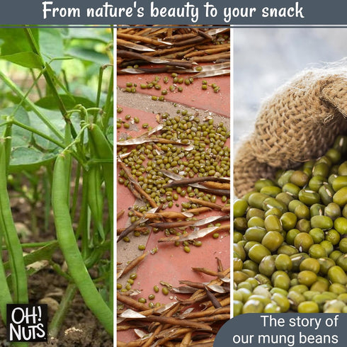 5lb Packed Pack Oh! Nuts Mung Beans Bulk Bag - Great Beans for Sprouting Dried Kosher Moong Dal - Vegan, Paleo, Long