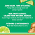 17 oz (Pack 12) Sparkling Ice, Ginger Lime Sparkling Water, Zero Sugar Flavored Water, with Vitamins and Antioxidants