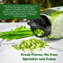 2 Oz, NPG Freeze-Dried Chives Dehydrated Chopped Chives, Mild Onion Herb for Cooking, Soup, Ramen, Stir Fry & Garnish