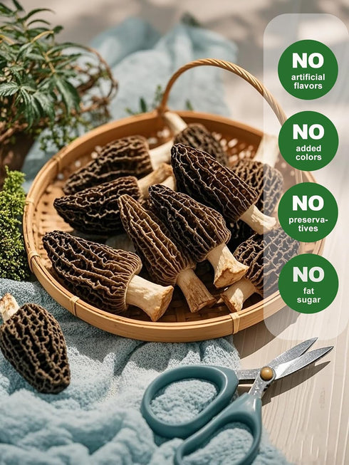 Trimmed (2+ Inches) 2oz Grade100% MillynLike Dried Morel Mushrooms Stems & Large Caps | Gourmet Morchella Conica