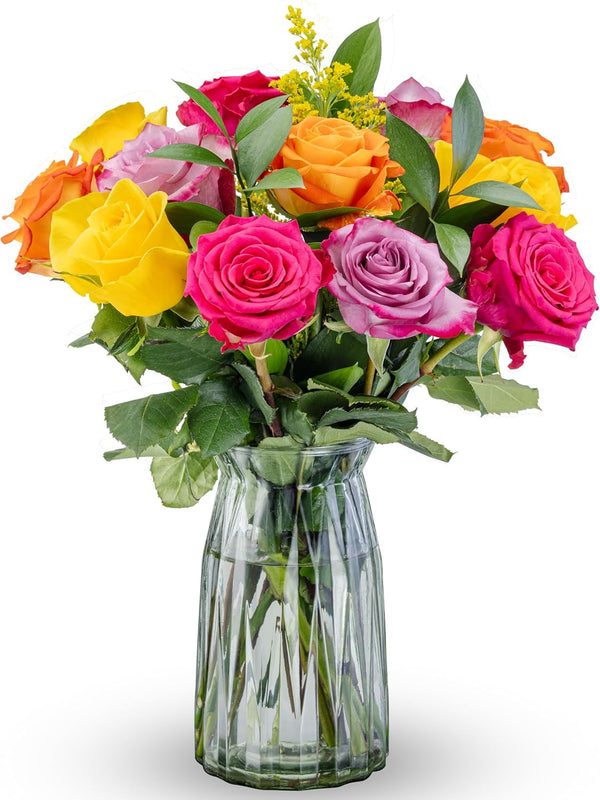 Benchmark Bouquets One Dozen Long Stem Rose Bouquet Real Fresh Flowers for