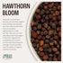 (16 oz) J Mac Botanicals, Organic Dried Hawthorn Berries Whole Hawthorn berry from Eastern Europe, certified Organic