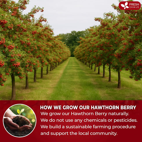 16oz FreshDrinkUS, Premium Dried Hawthorn Berries All-Natural, Non-GMO, Perfect for Tea, Smoothies, Baking & Snacking