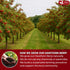 16oz FreshDrinkUS, Premium Dried Hawthorn Berries All-Natural, Non-GMO, Perfect for Tea, Smoothies, Baking & Snacking