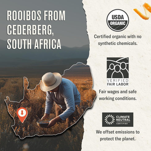 100 Numi Organic Rooibos Chai Tea, Tea Bags, Herbal Red Tea with Cinnamon, Allspice, Ginger & Cardamom, Caffeine Free