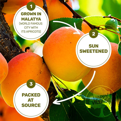 20 OZ Happy Village Organic Turkish Sun-Dried Apricots, Resealable Bag, No Added Sugar Dried Fruit, USDA Organic