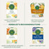 96 Count (Pack 6) Traditional Medicinals Tea, Organic Ginger & Chamomile - Occasional Nausea & Indigestion Relief