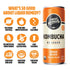8.5 Oz 24-Pack Liquid Remedy Kombucha Sugar Free Organic Drink, Low Calorie, Probiotic Like Tea for Gut Health - Orange