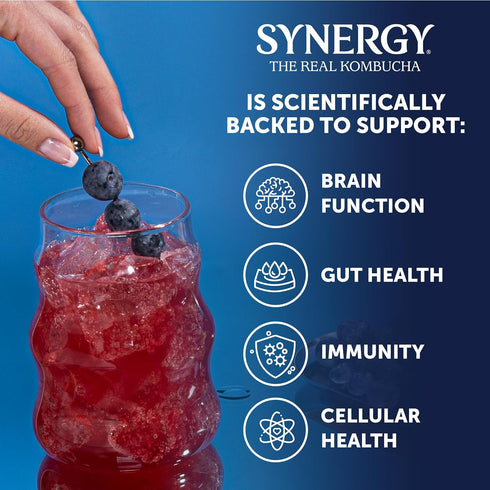 16 oz Immune SYNERGY The Real Kombucha - Gingerberry - fl Bottle - Raw Probiotic Drink for Gut Health and Support