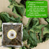 2oz Cure Wid Pure Certified Organic Fig Leaves Non-GMO Hoja de Higo in Eco-Friendly Resealable Bag for Herbal Infusions