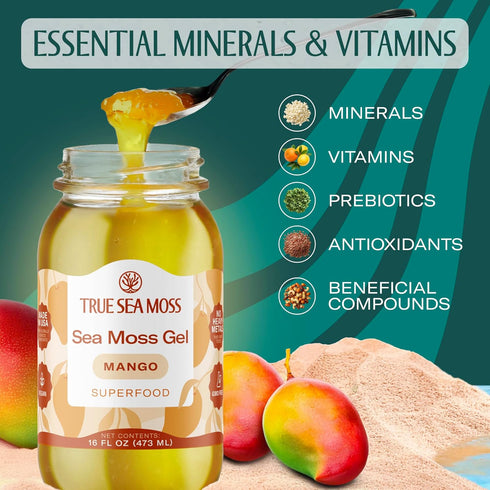 Pack 1 TrueSeaMoss Sea Moss Gel Made in USA Wildcrafted Seamoss, Fruits & Jarred Vegetables Mango, of (Labels may Vary)