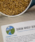 8 LBS (2-4 lb Clear Creek Certified Glyphosate Residue Free Durum Wheat Berries | bags) | Whole Grains | Used to mill