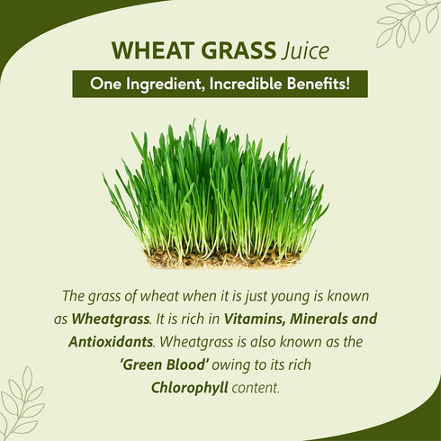 1L Sri Sri Tattva Wheat Grass Juice - Daily Fitness Essential