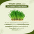 1L Sri Sri Tattva Wheat Grass Juice - Daily Fitness Essential