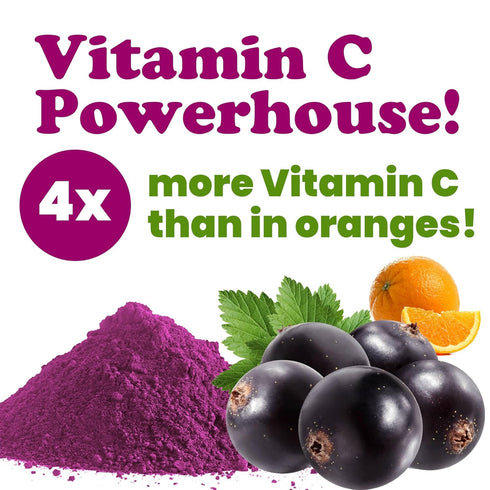 2 Food to Live - Currant Juice Powder, Pounds Antioxidant Powerhouse, Vegan Superfood. Unsweetened. Great for Juices.