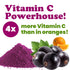 2 Food to Live - Currant Juice Powder, Pounds Antioxidant Powerhouse, Vegan Superfood. Unsweetened. Great for Juices.