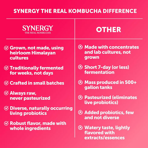 16 oz Immune SYNERGY The Real Kombucha - Pomelo Pink Lemonade - fl Bottle - Raw Probiotic Drink for Gut Health
