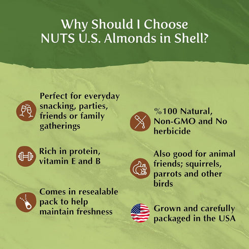 Packed (2 LBS) DELICE - Almonds In Shell | Grown and in California | Fresh Buttery Taste and Easy to Crack | Whole, Raw