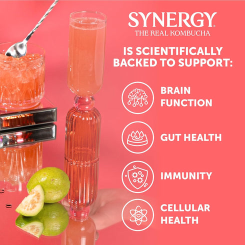 16 oz Immune SYNERGY The Real Kombucha - Guava Goddess - fl Bottle - Raw Probiotic Drink for Gut Health and Support