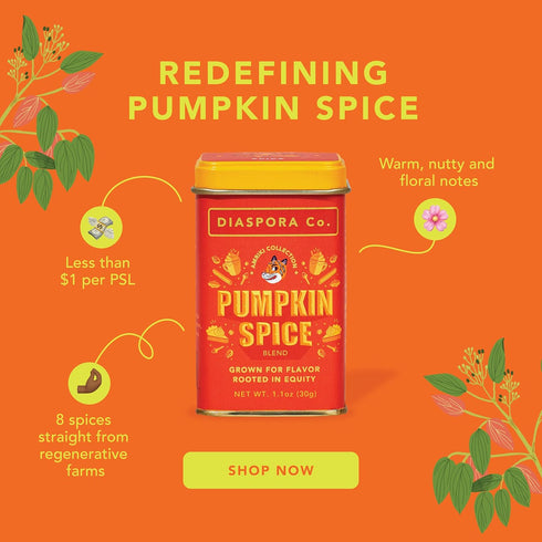 Diaspora Co. Pumpkin Spice | Warming Spice Blend for Baking & Drinks | Made with Fresh, Single-Origin Spices | 30g Everyday Tin