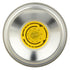 Galantino 8.45 Chili Pepper Extra Virgin Olive Oil, FZ