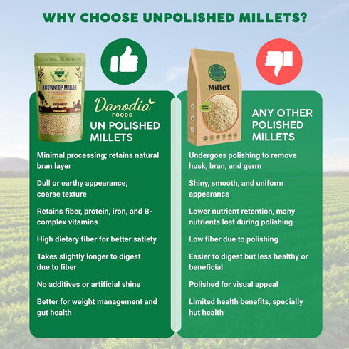 2 lbs (950g), Danodia Foods Browntop Millet, Unpolished, Natural & Gluten-Free Whole Grain Superfood, Plant-Based