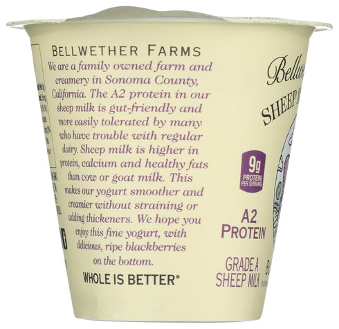 Bellwether Farms 6 OZ Blackberry Sheep Milk Yogurt