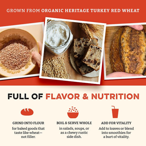 (80 (Pack 2)) Sunrise Flour Mill Heritage Organic Whole Wheat Flour & Hard Red Wheat Berries Ounce of - Non-GMO