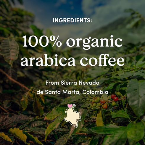 12 oz GoodSam New Day Medium Roast Whole Bean Organic Coffee Beans Bright Citrus & Chocolate Notes Single-Origin