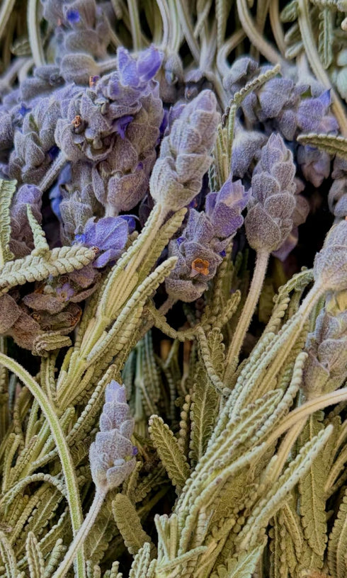 20 0.2 Oz Freshly Preserved Lavender Dried Flowers - Edible Lavender for Drinks Toppers, Cakes Decoration, Baking & DIY